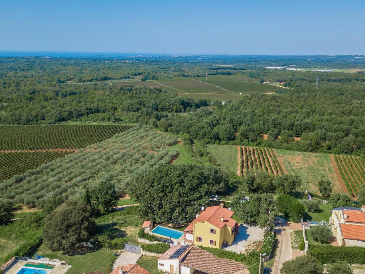Villa Hrast Bacva Вишнян Екстер'єр фото
